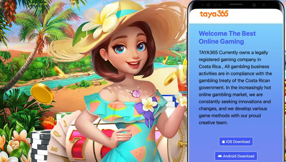 Official Taya365 mobile app